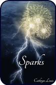 Sparks: The Novel
